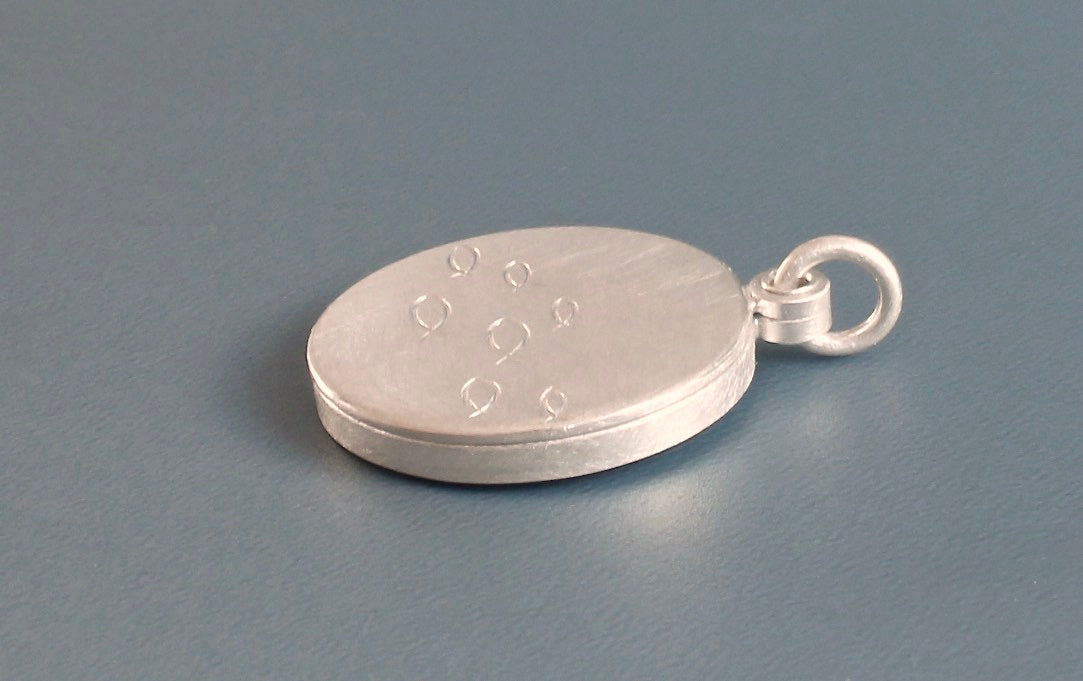 maritimes Medaillon aus Sterling Silber für ein Foto mit Fischschwarm